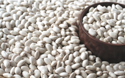 Kuru fasulyede gümrük vergisi sıfırlanıyor