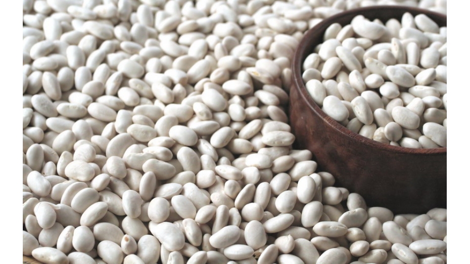 Kuru fasulyede gümrük vergisi sıfırlanıyor